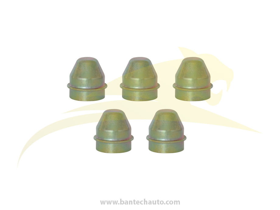 Steel Cap Kit