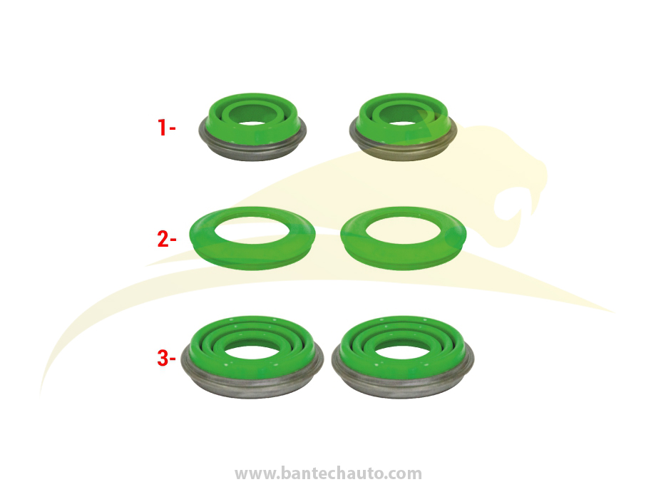 Caliper Seals Kit