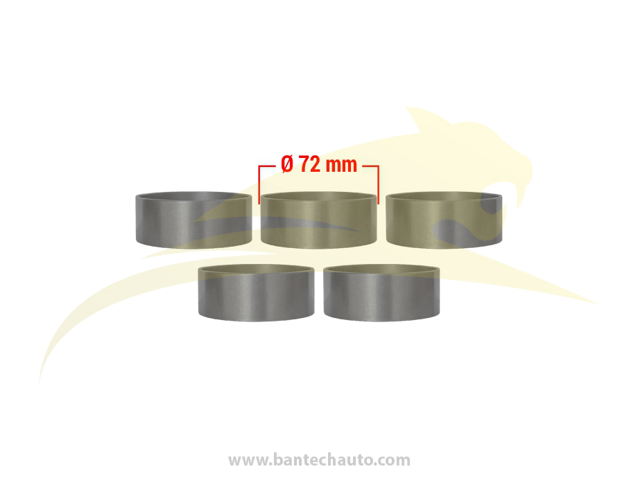 Bearing Outer Race Kit