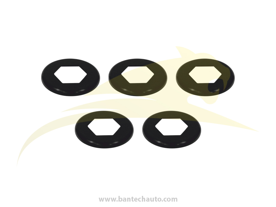 Shaft Dust Cover Kit