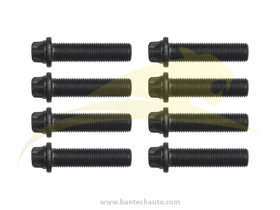 Caliper Cover Bolt Kit