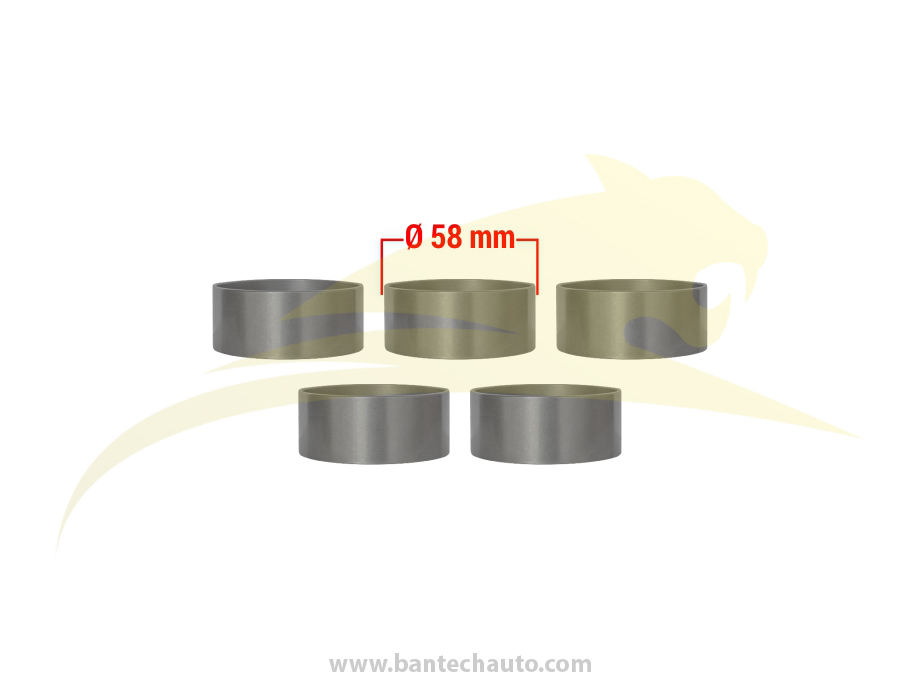 Bearing Outer Race Kit
